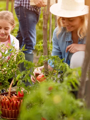 Nieuwste ontwikkelingen Landgoed Wickevoort