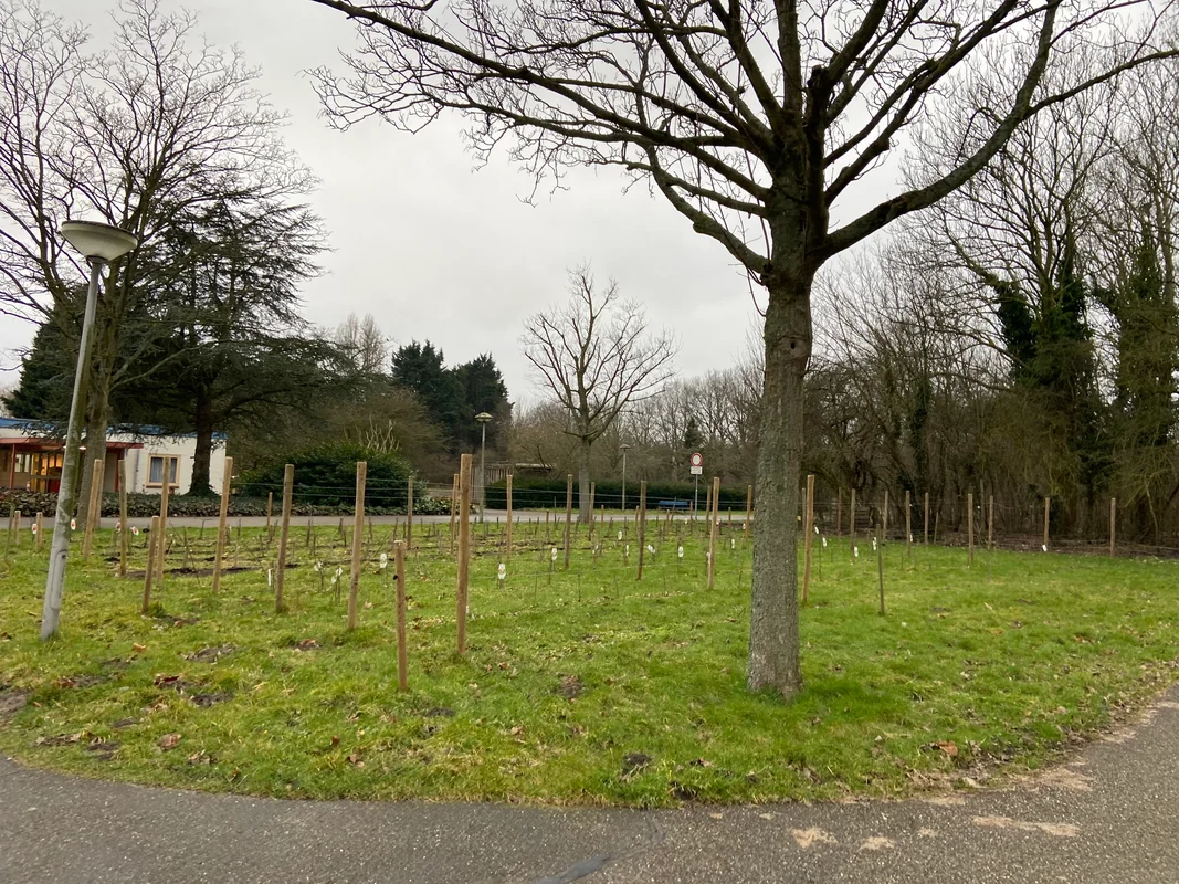 De 10 gouden regels van Wickevoort- 3