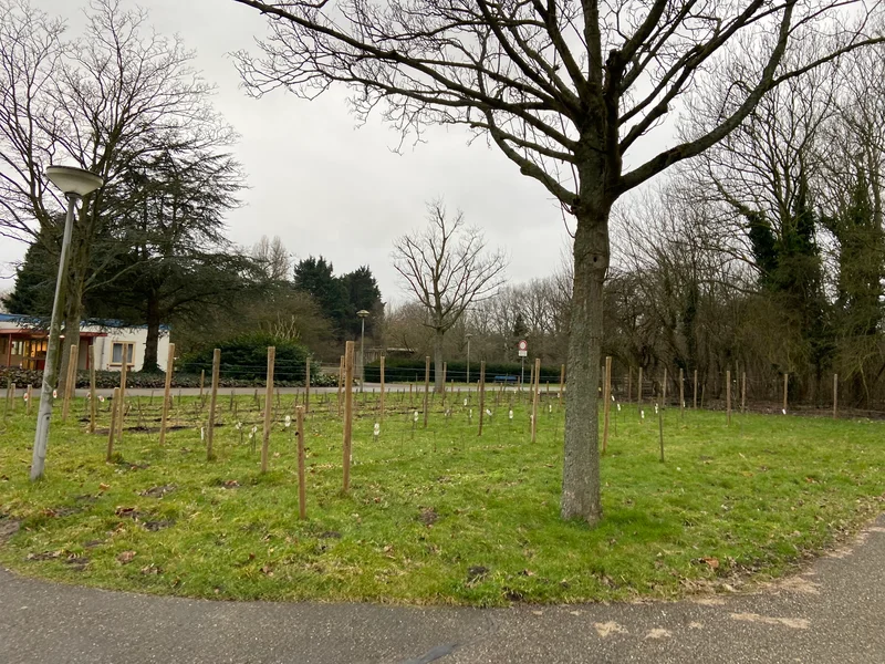 De 10 gouden regels van Wickevoort- 3