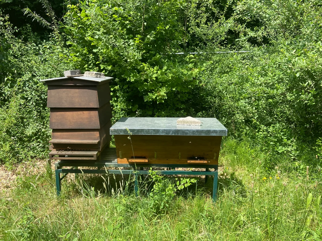 Open dag imkervereniging Haarlemmermeer