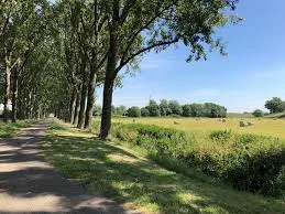 Wandel het Waterliniepad