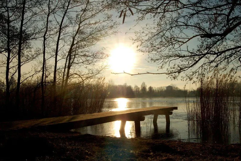 Haarlemmermeerse Bos