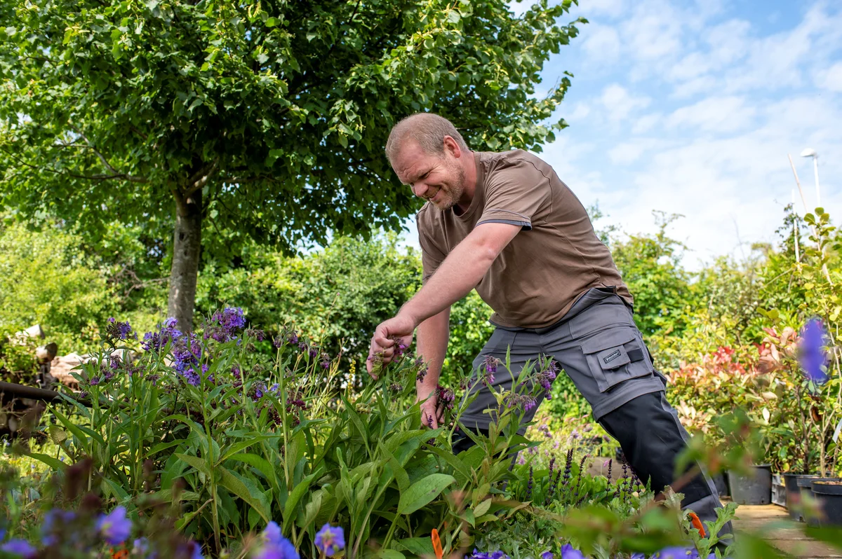 Hovenier Rens de Rooij