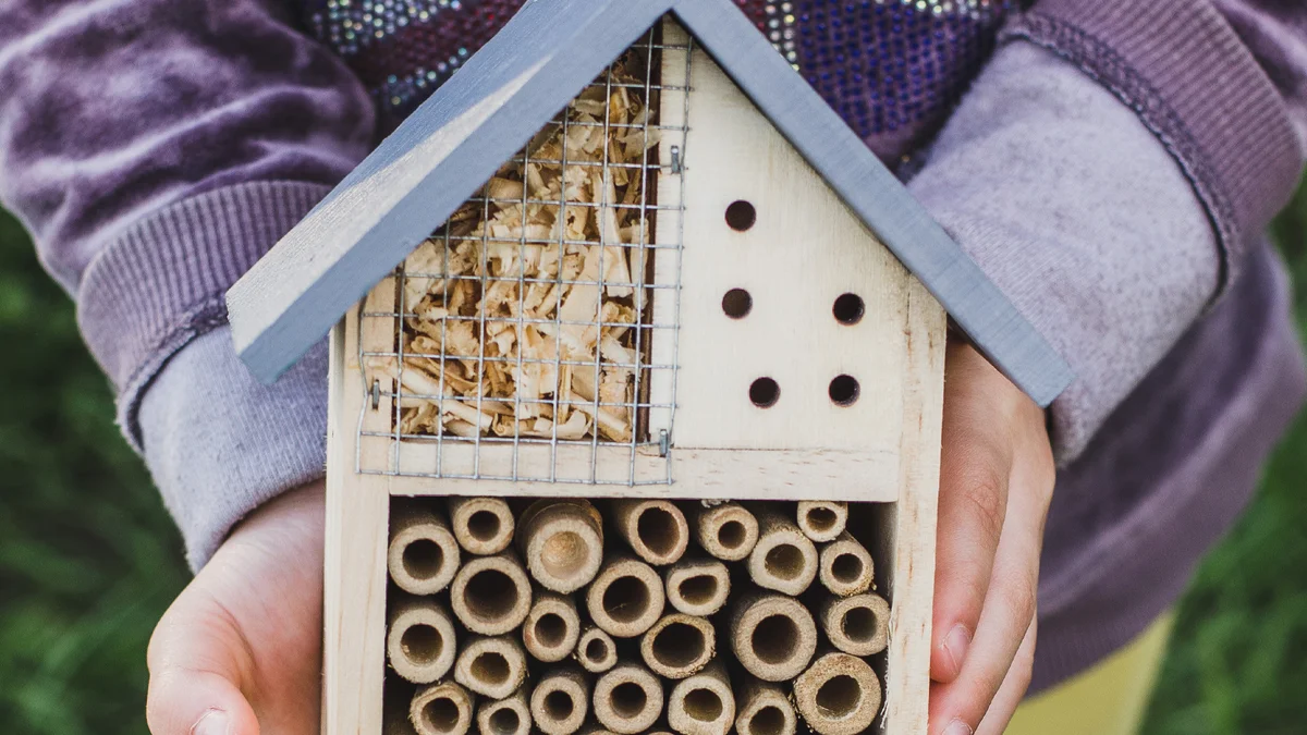 De 10 gouden regels van Wickevoort- 2