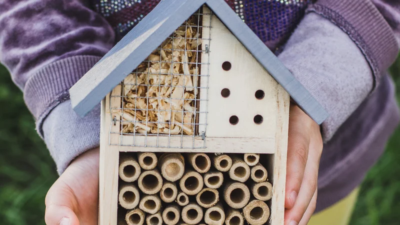 De 10 gouden regels van Wickevoort- 2