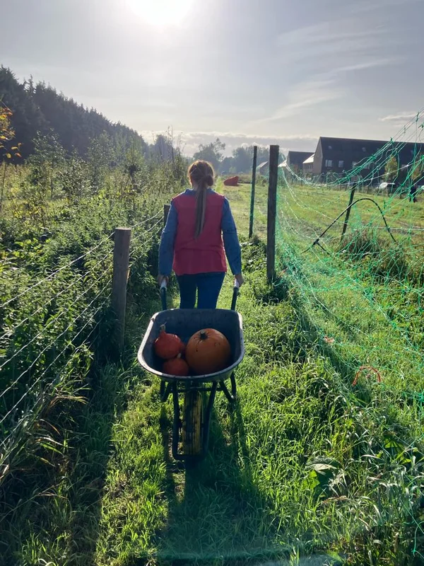 Tuinonderhoud in de maand maart