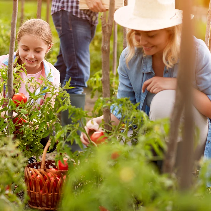 Woonveld De Tuinen (koop)