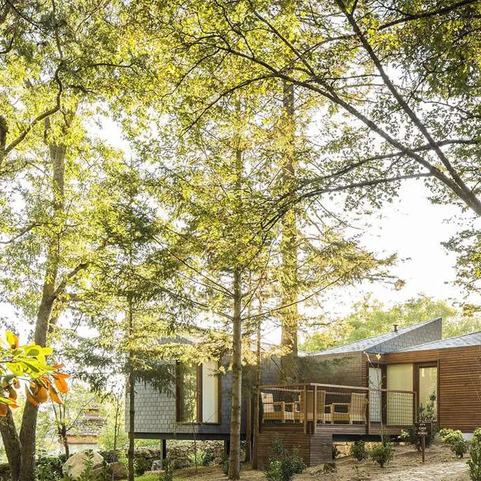 Woonveld aan de bosrand